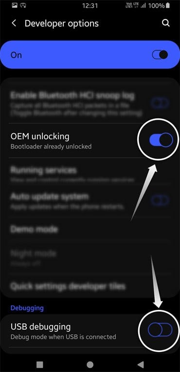 enable usb debugging and oem unlocking